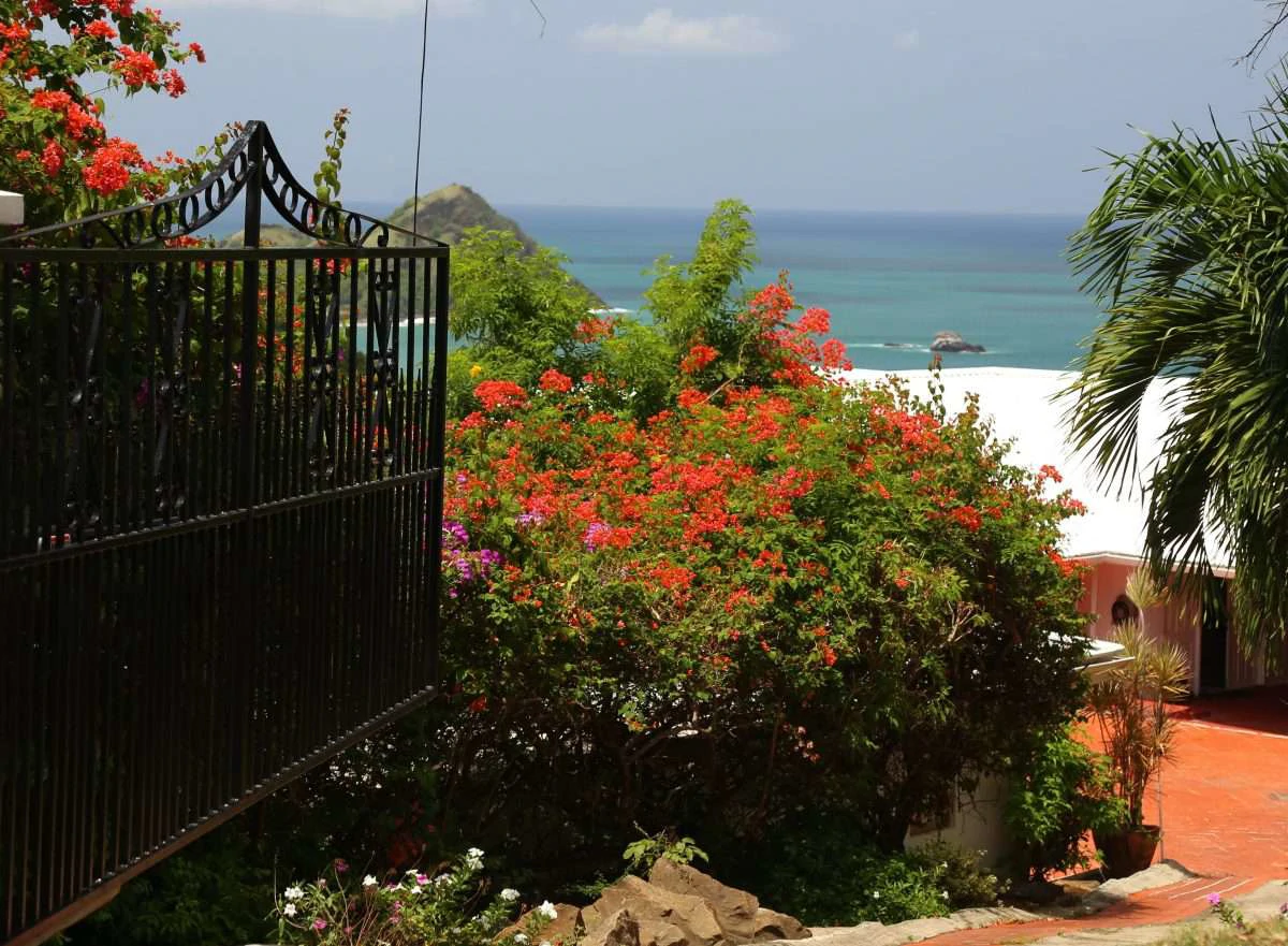 16 Saddleback, Cap Estate. - Gallery image 3