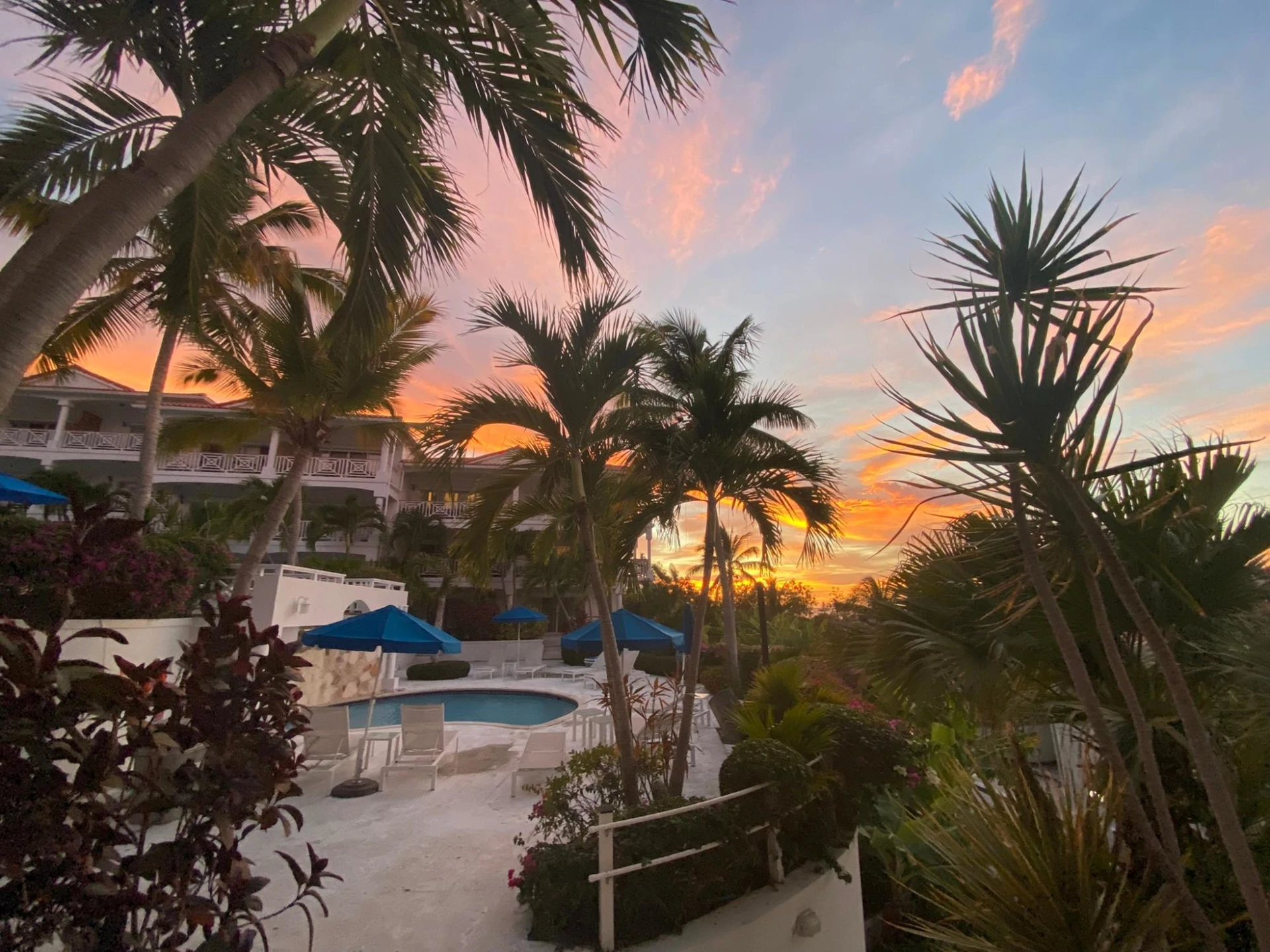 B101 Queen Angel - Gallery image 27