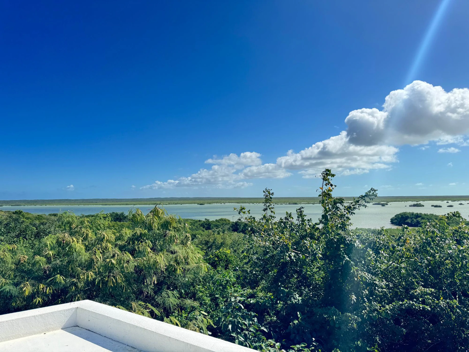 Marshalltown Cottage 2 - Gallery image 22