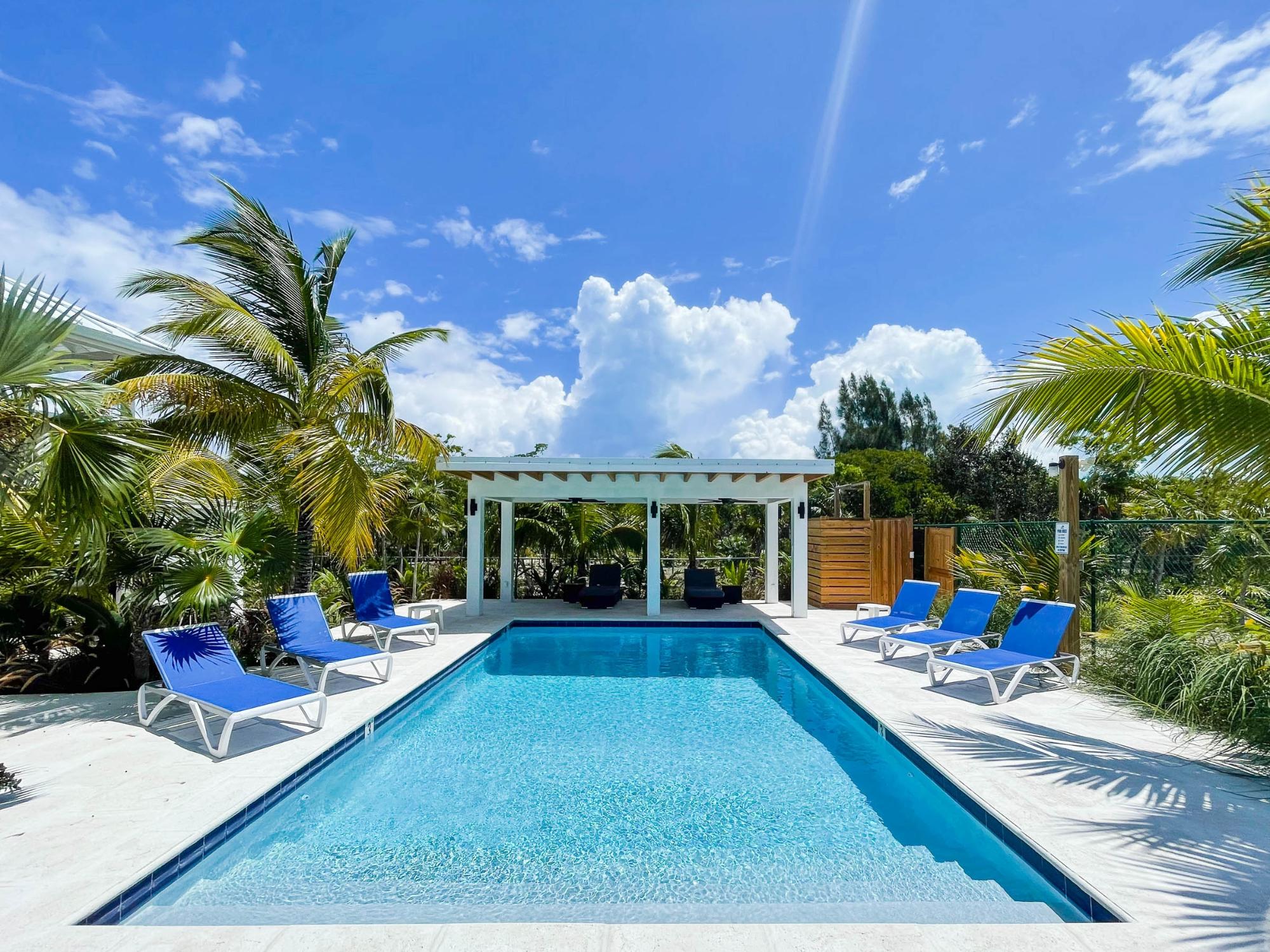 PALMETTO PLACE - Gallery image 15