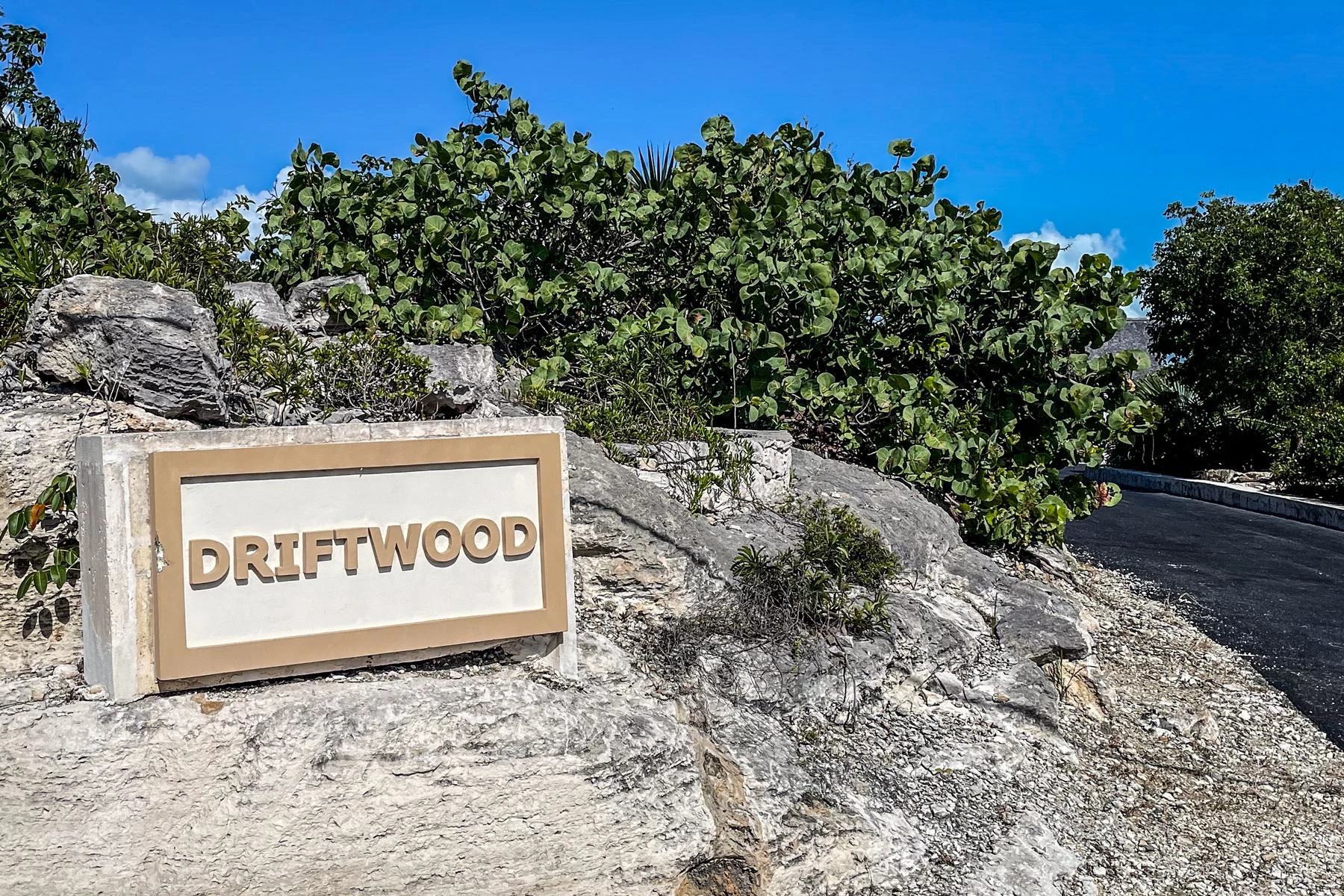 Driftwood - Gallery image 46