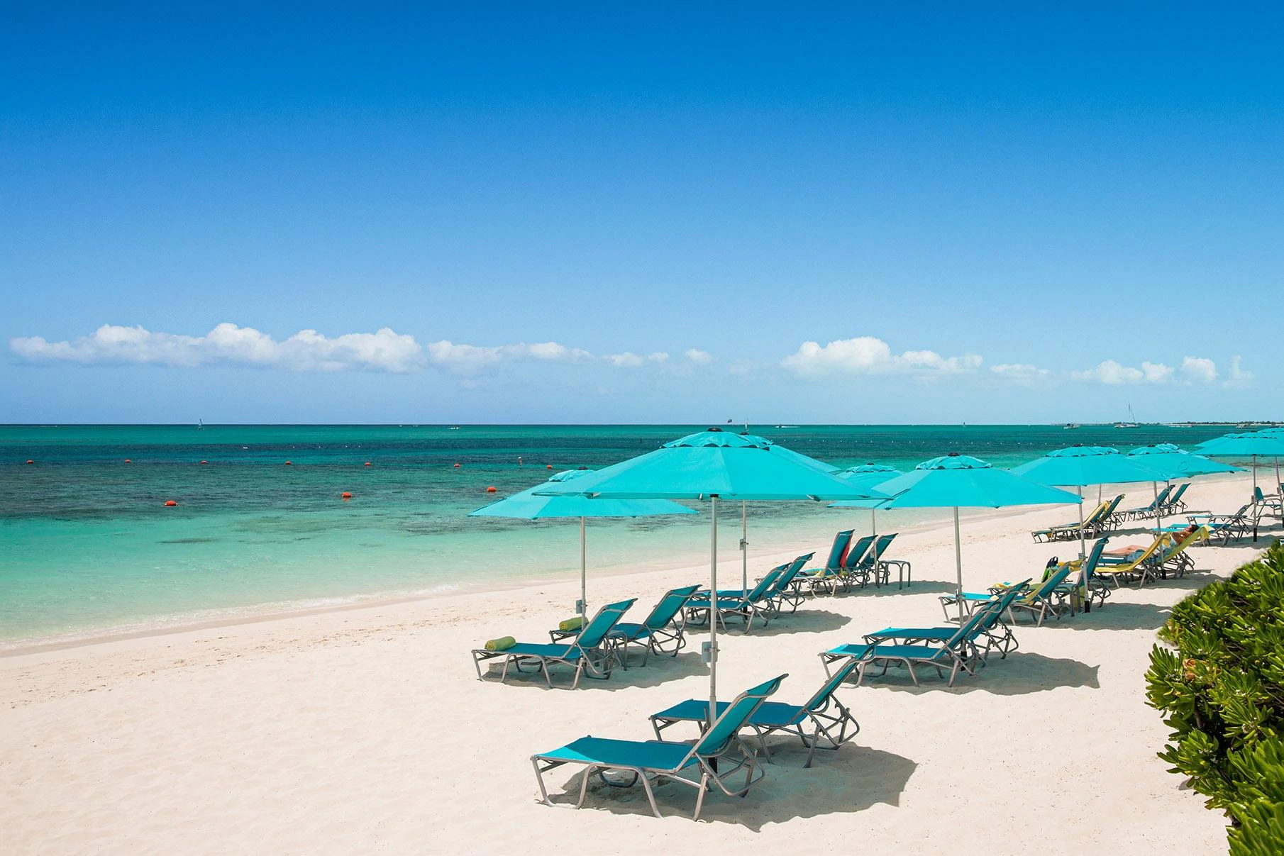 CORAL GARDENS UNIT 4104 - Gallery image 14