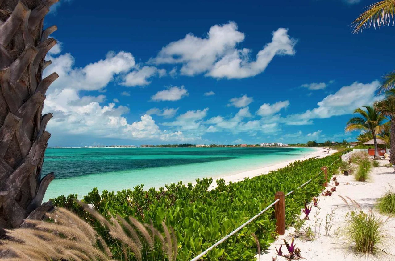 Reef Pearl - Gallery image 27