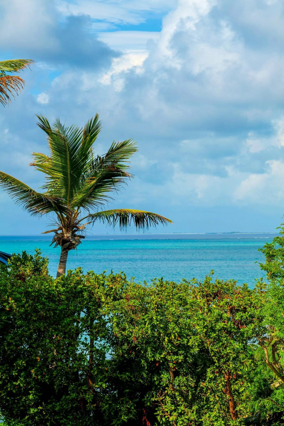 Villa Palmera - Gallery image 75