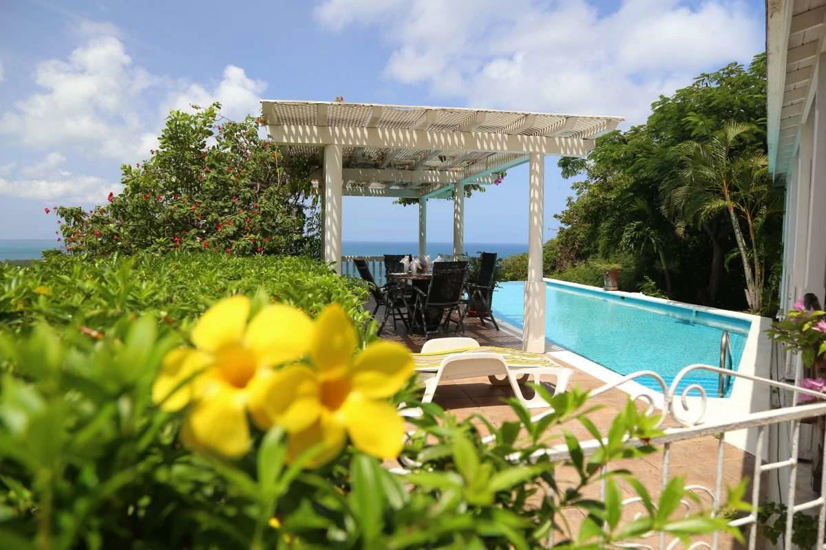 16 Saddleback, Cap Estate. - Gallery image 23