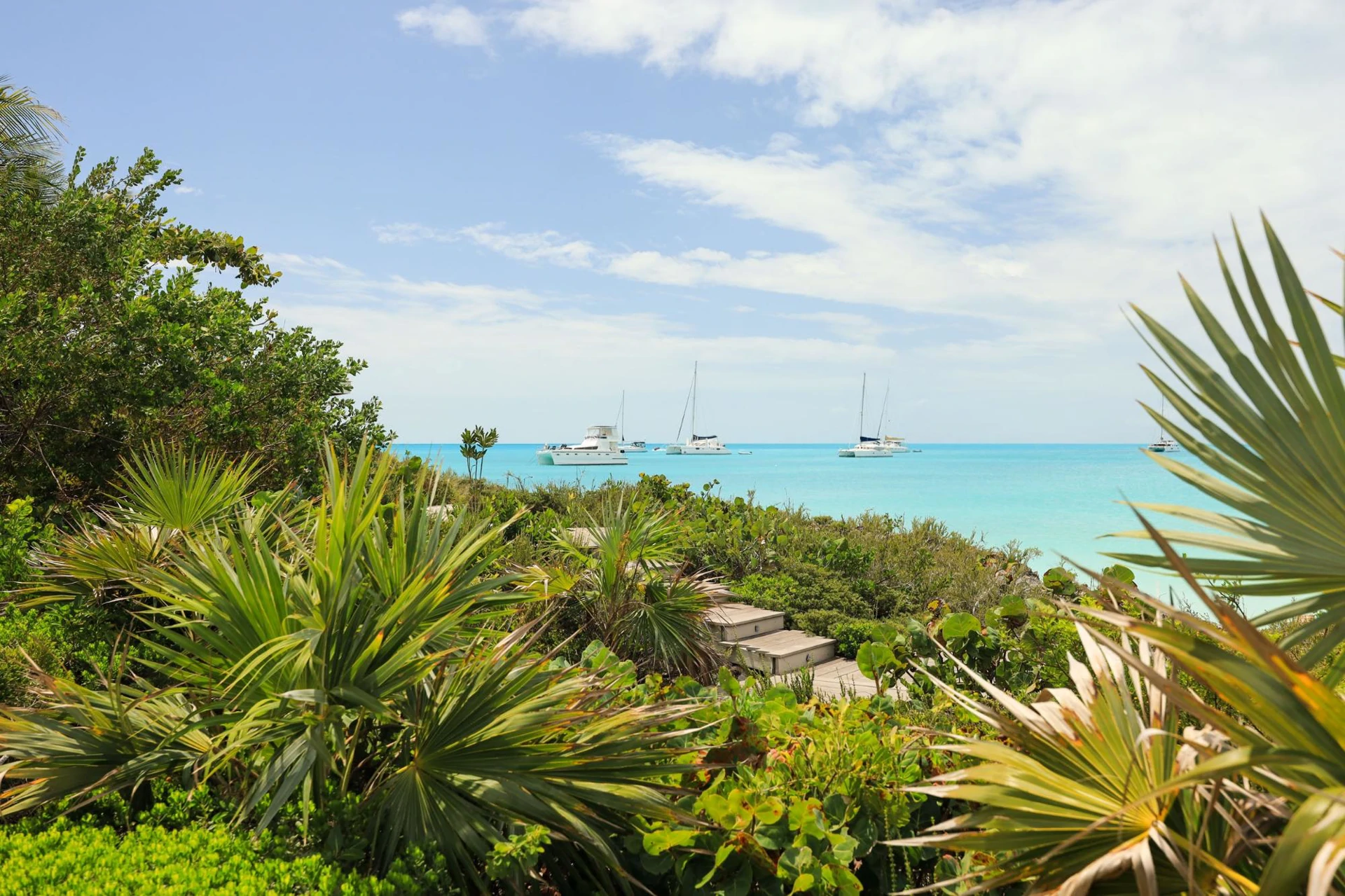 Jasper House - Gallery image 28