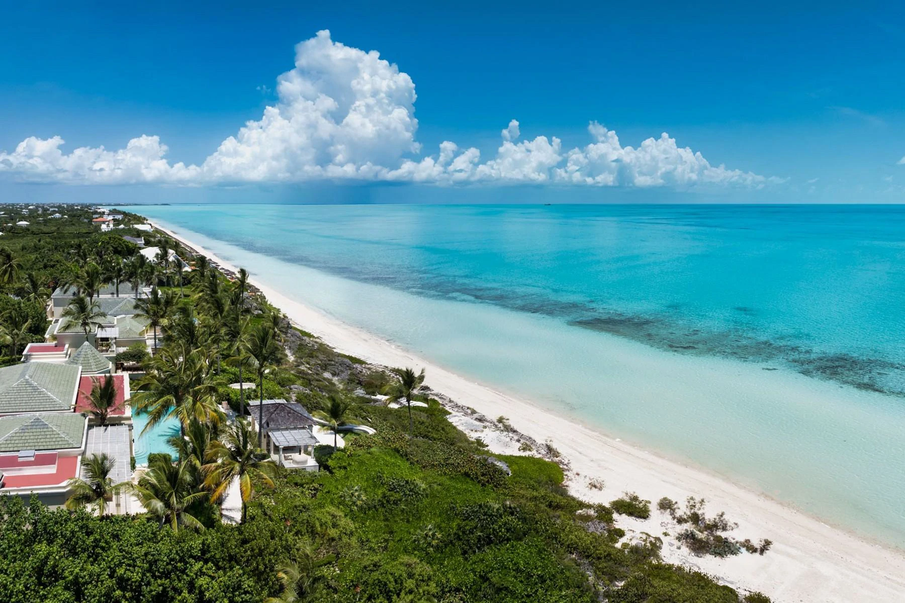 LA DOLCE VITA - Gallery image 2