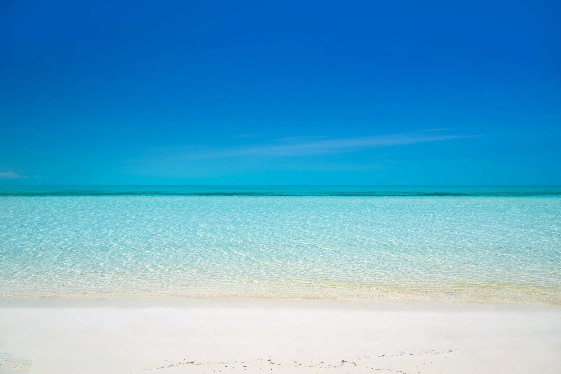 LA DOLCE VITA - Gallery image 64