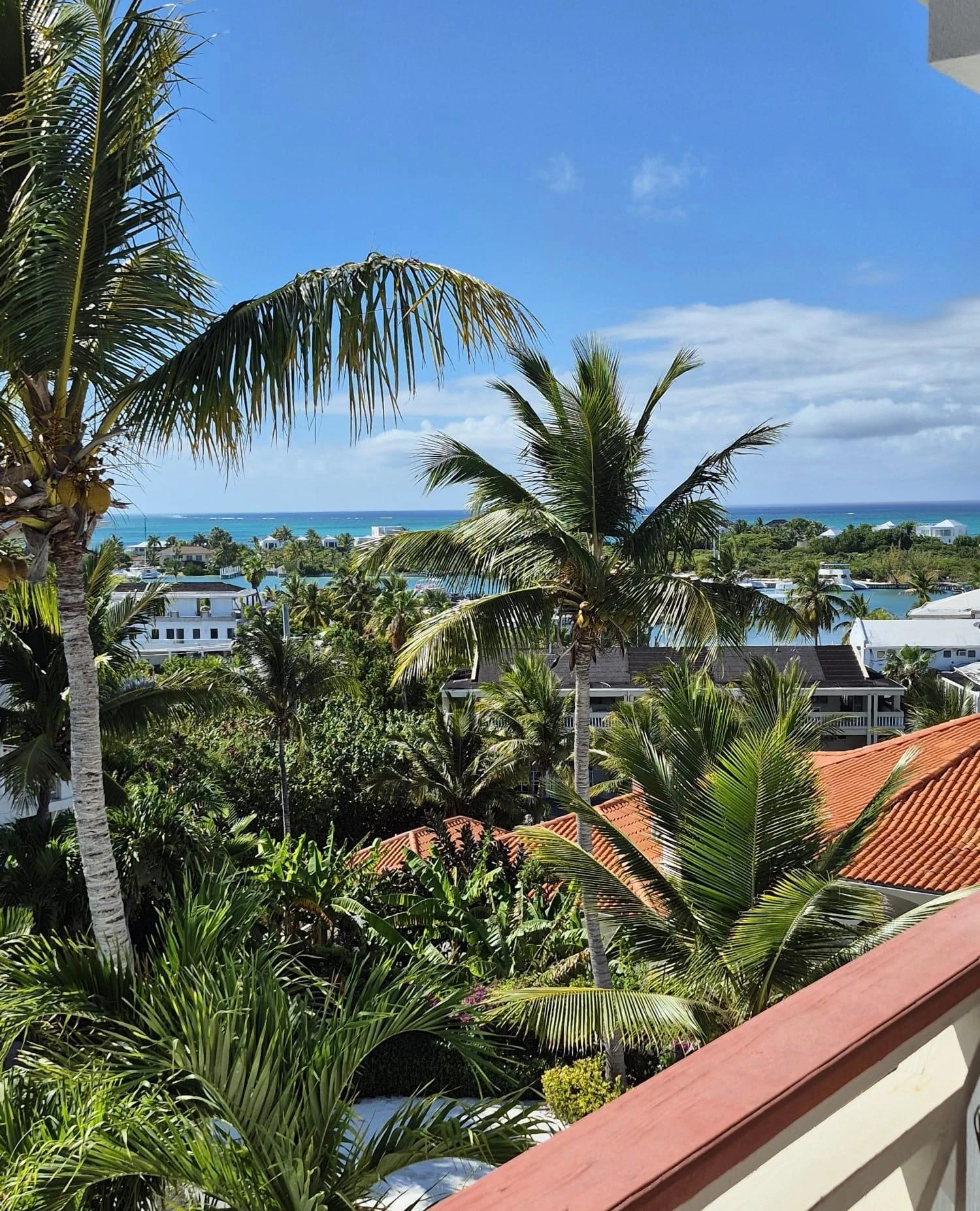 B304 Queen Angel - Gallery image 2