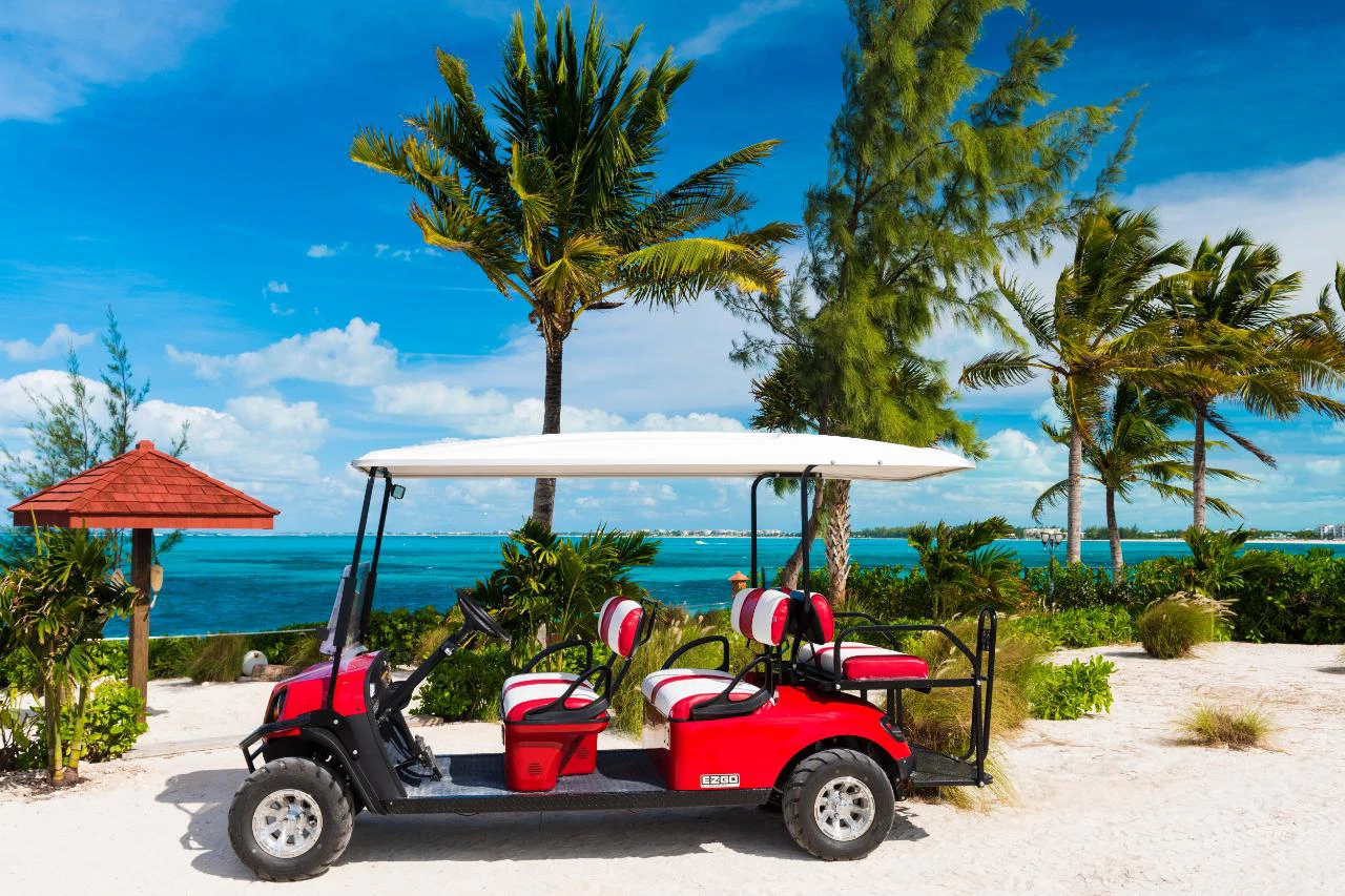 Reef Pearl - Gallery image 16