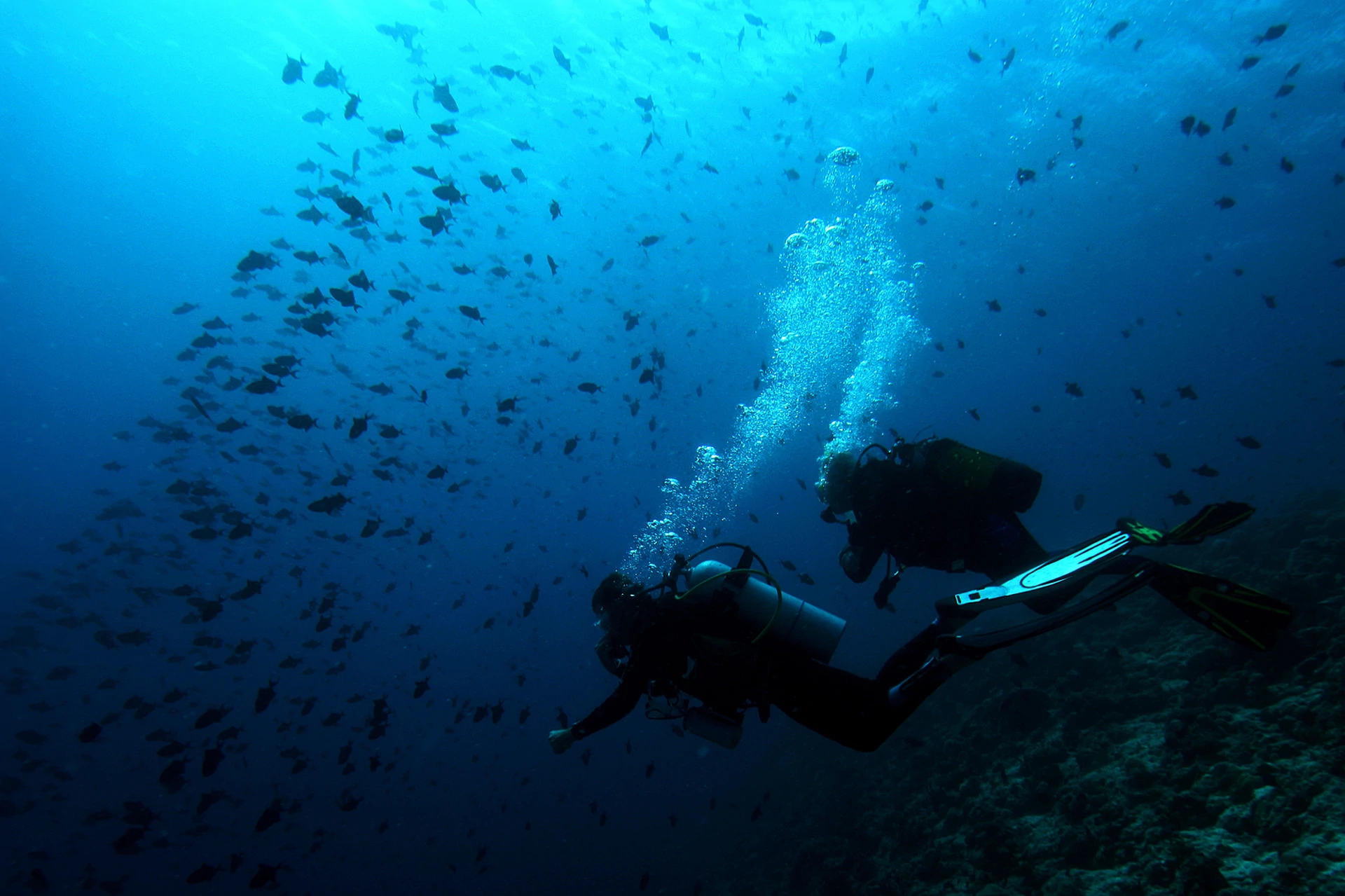 Luxury branded beach villas for sale | Soneva Fushi Maldives - Gallery image 20