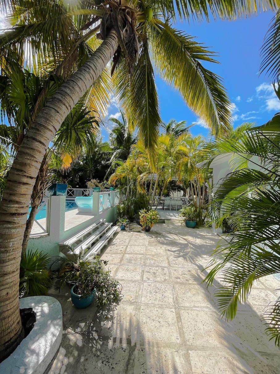 VILLA TROPICA SANDPIPER AVENUE-LEEWARD - Gallery image 17