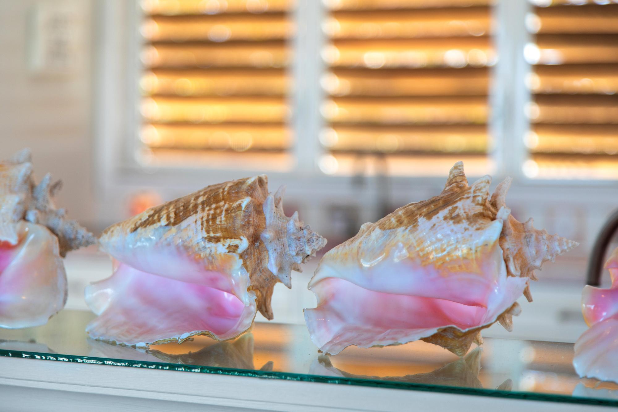 Barracuda Point, Pine Cay - Gallery image 13