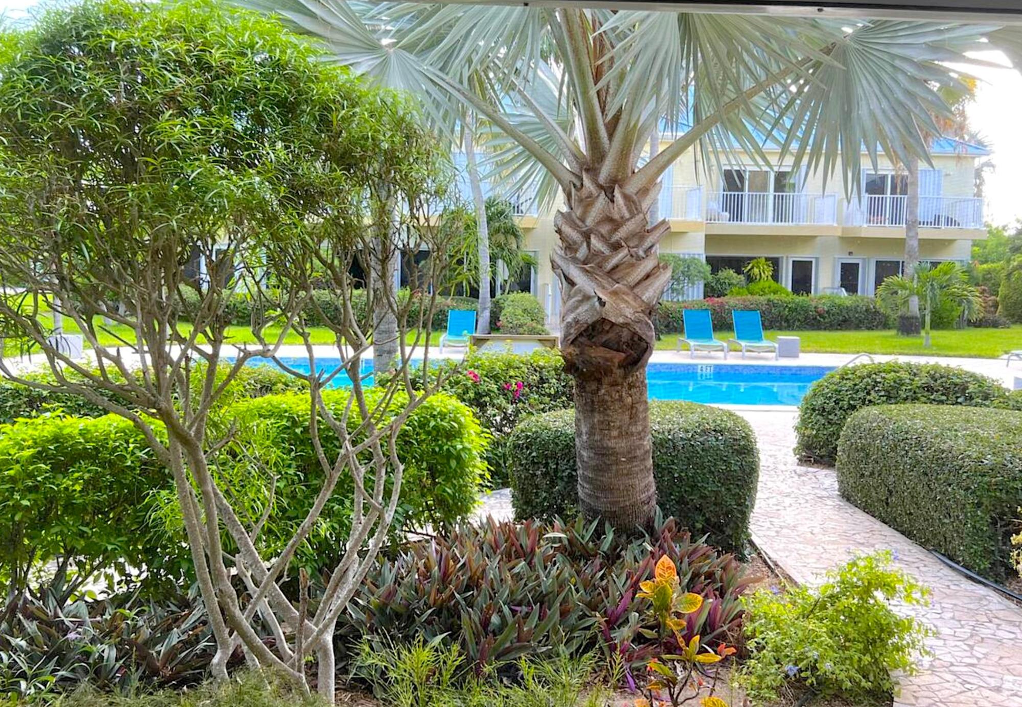 Beach Lyfe - Gallery image 8