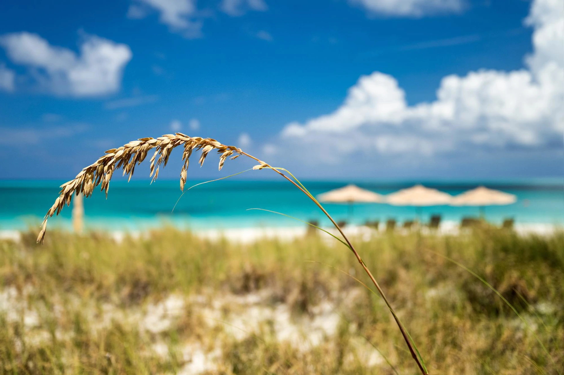 THE PINNACLE - Gallery image 14