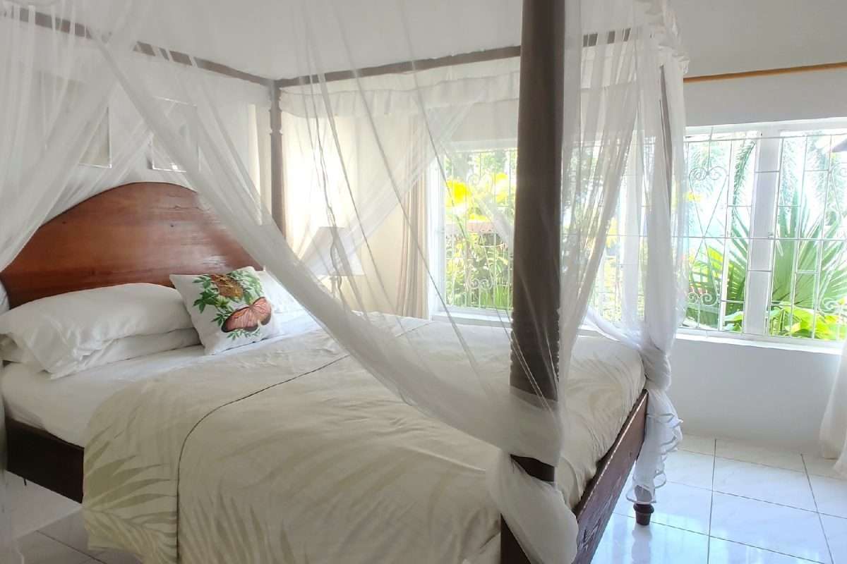 Butterfly House and Beach, La Toc, Castries. - Gallery image 21