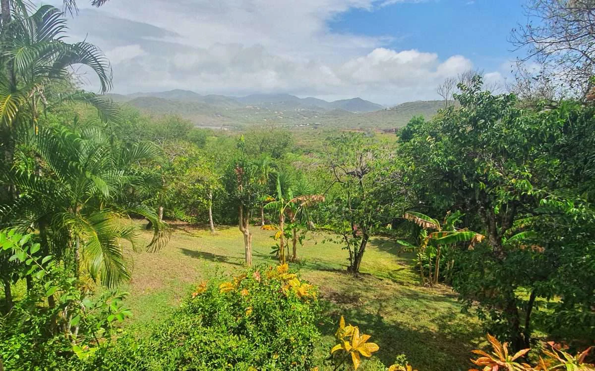 Sunset Haven Villa, Cap Estate. - Gallery image 14