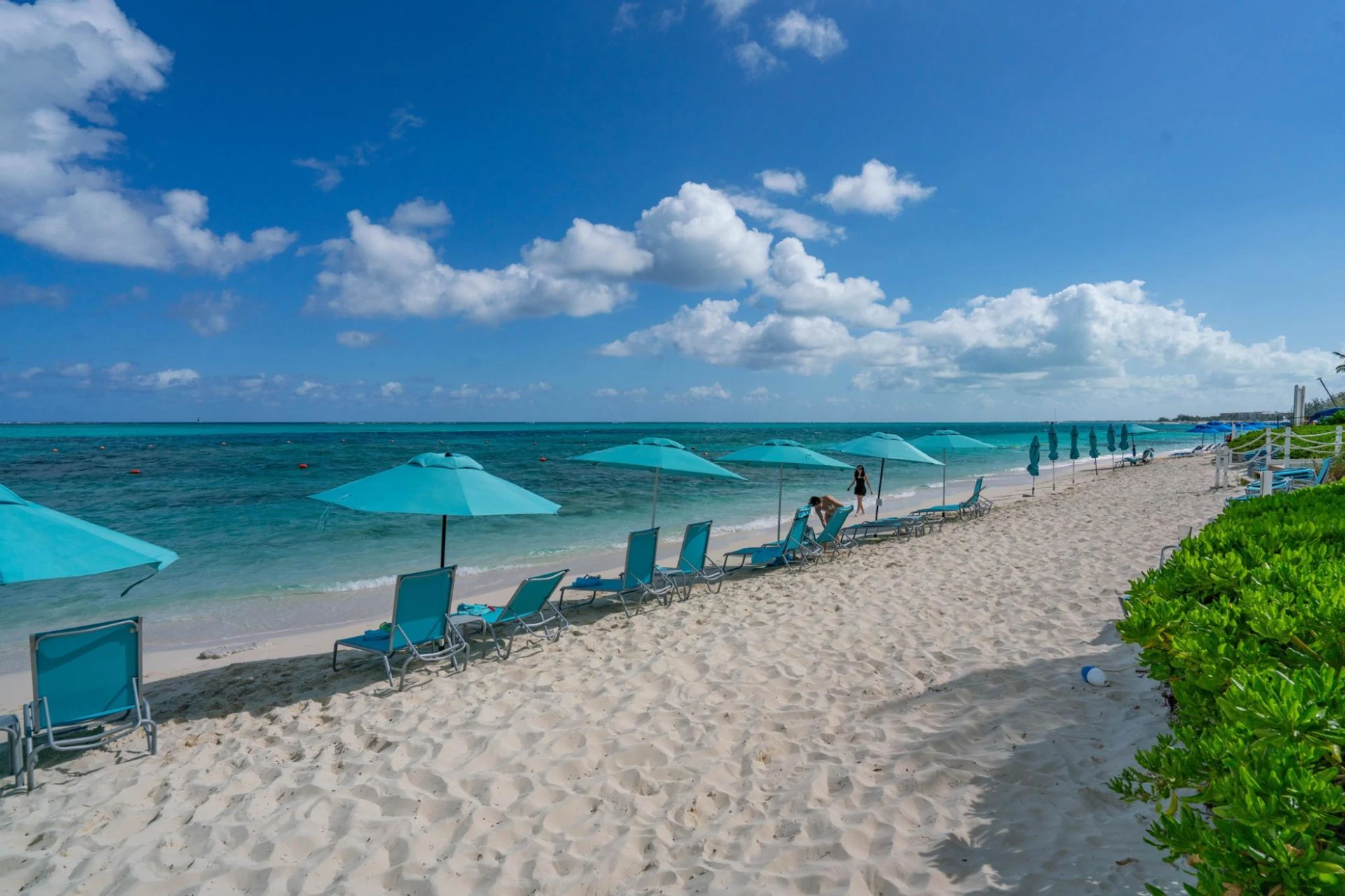 Coral Gardens On Gracebay - Gallery image 41