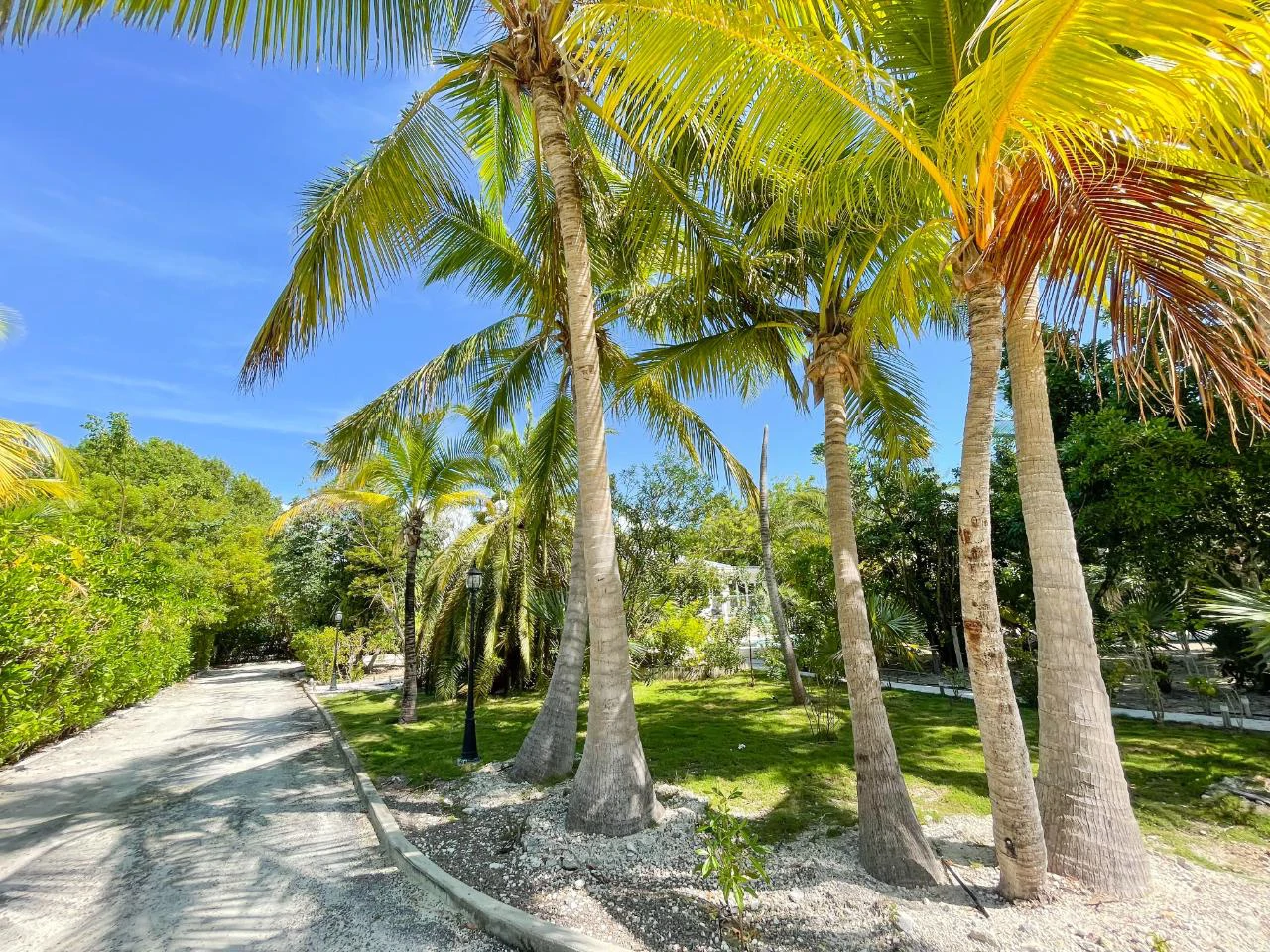 Seagrape Villa - Gallery image 38