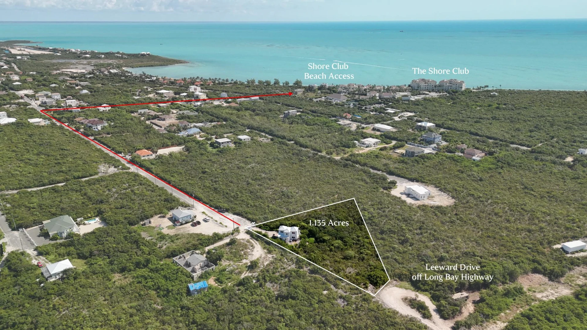 HAKUNA MATATA - Gallery image 2