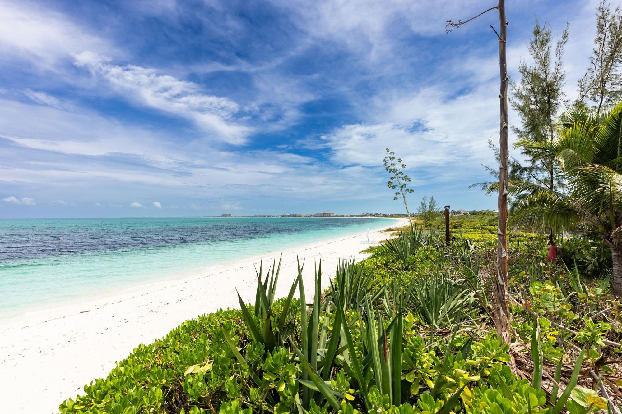 Impulse - Gallery image 37