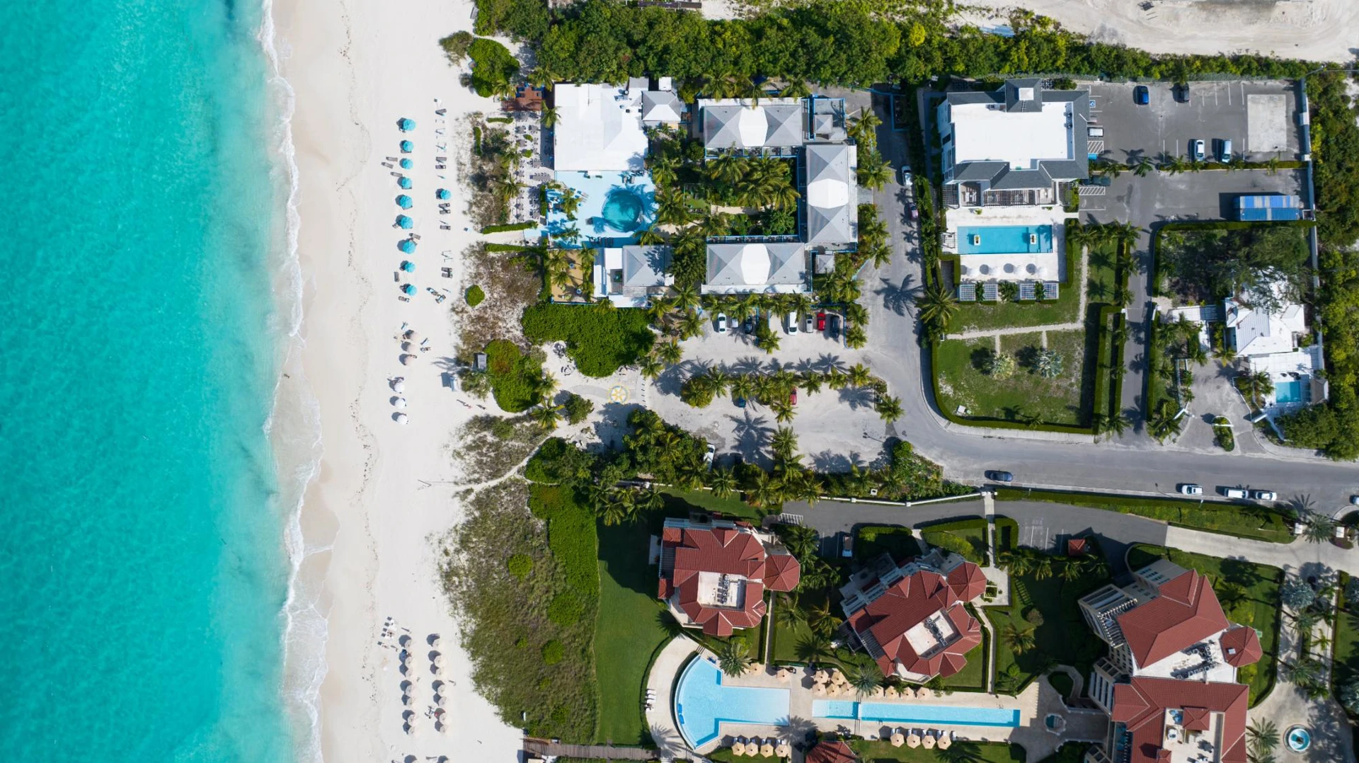 The Tides - Gallery image 9