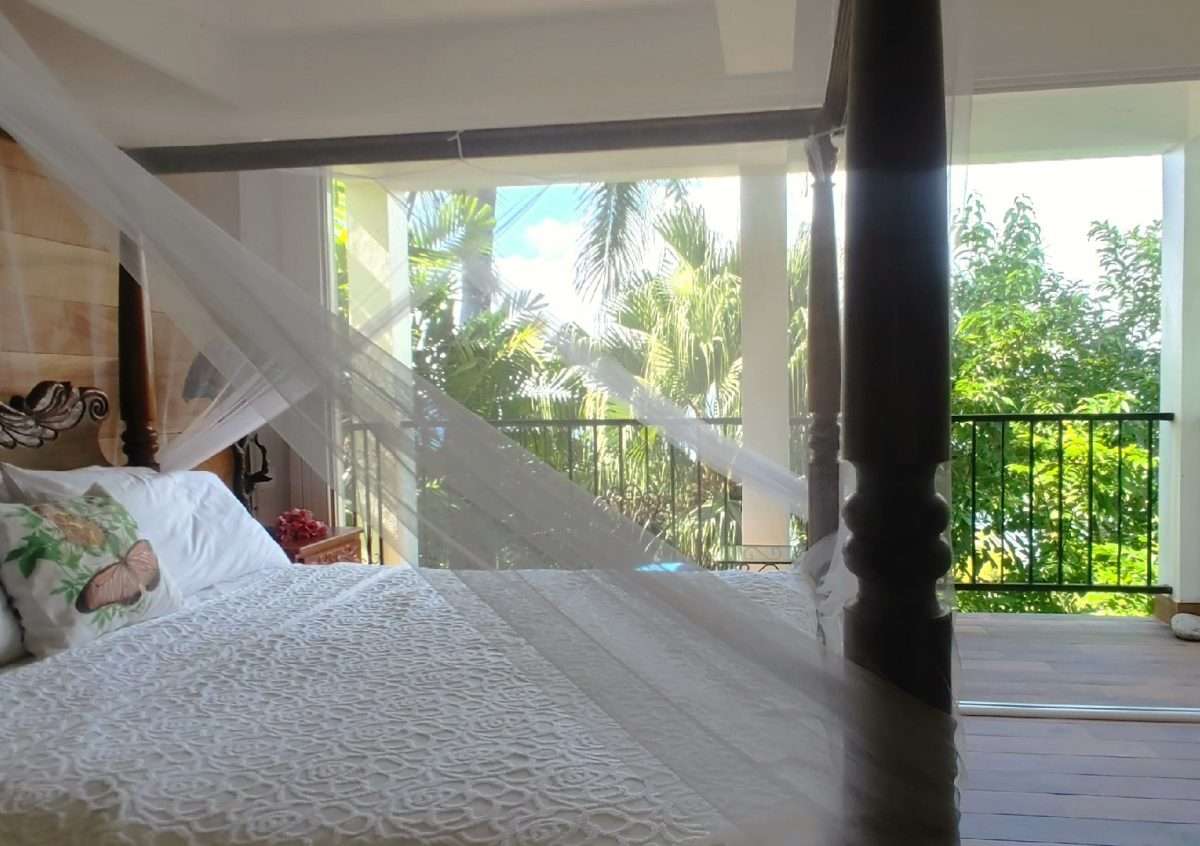 Butterfly House and Beach, La Toc, Castries. - Gallery image 20