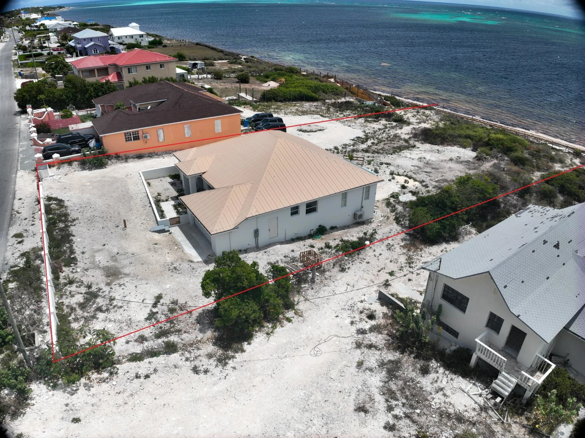 Cactus House - Gallery image 4