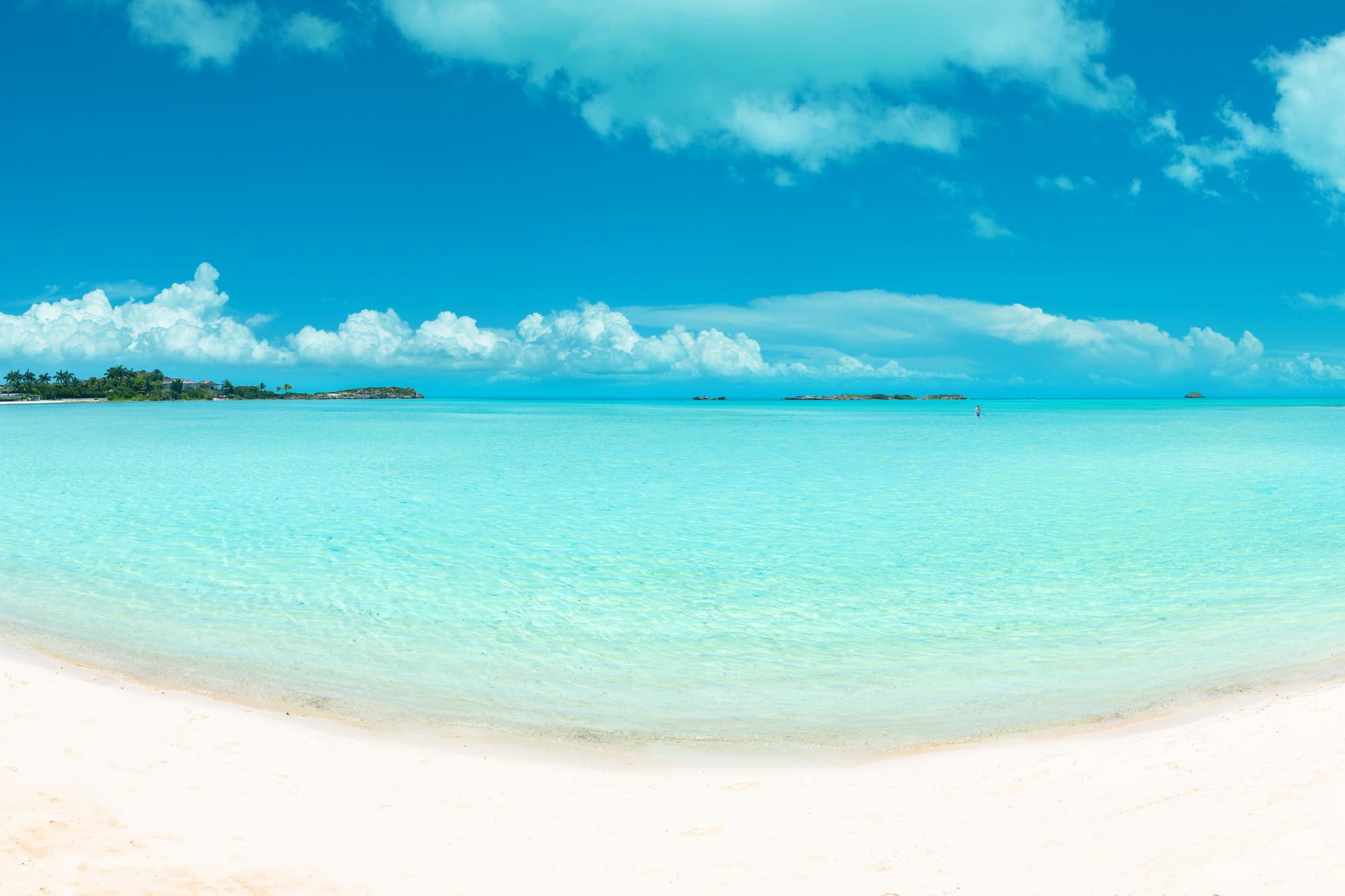 SANS SOUCI - Gallery image 16