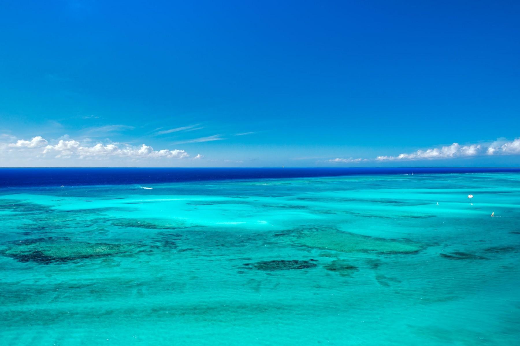 The Ritz-Carlton - Gallery image 42