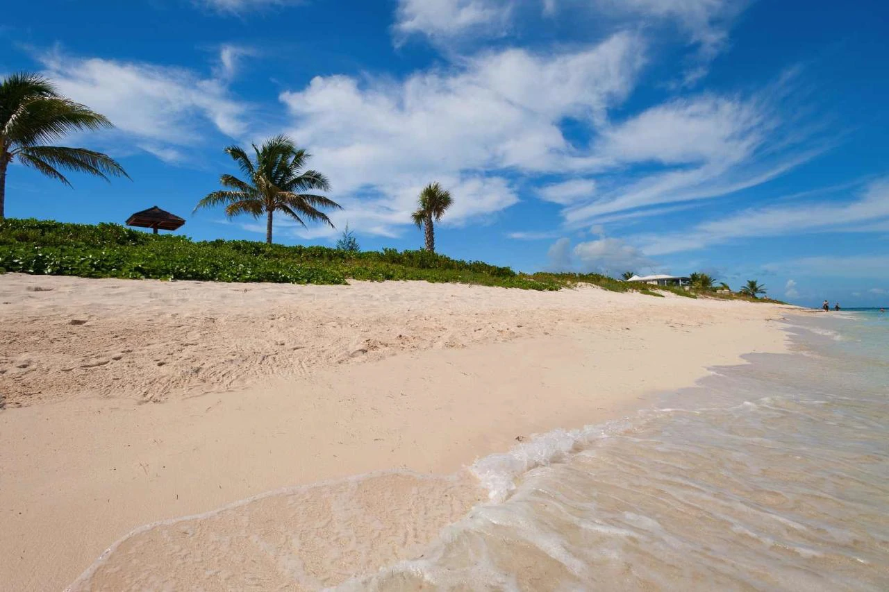 Reef Pearl - Gallery image 3