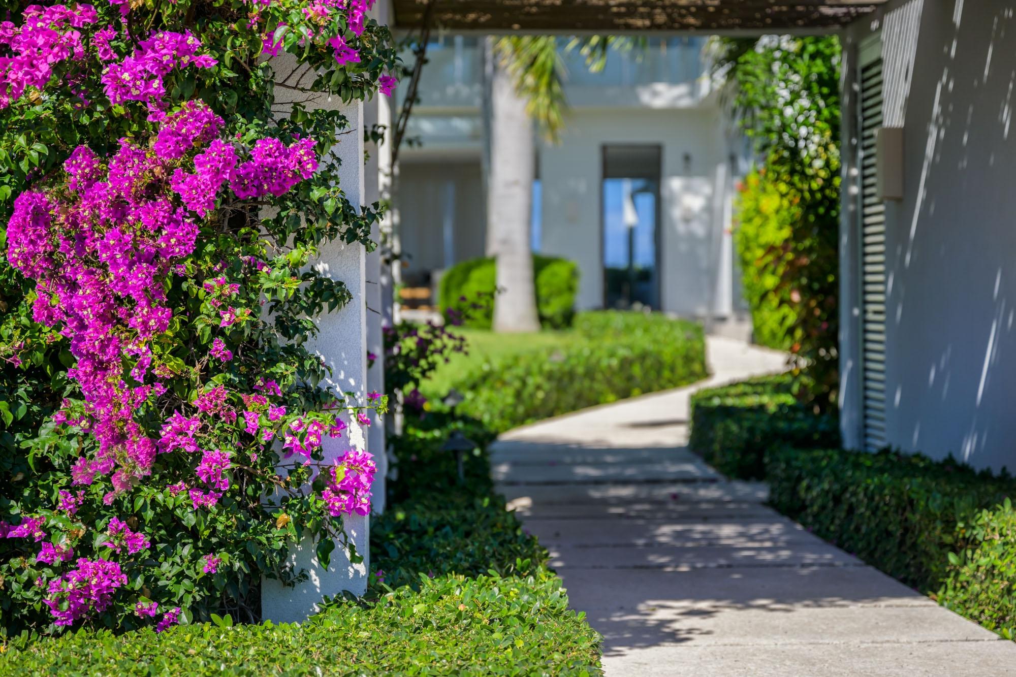 Beach Enclave Grace Bay - Villa 2 - Gallery image 42