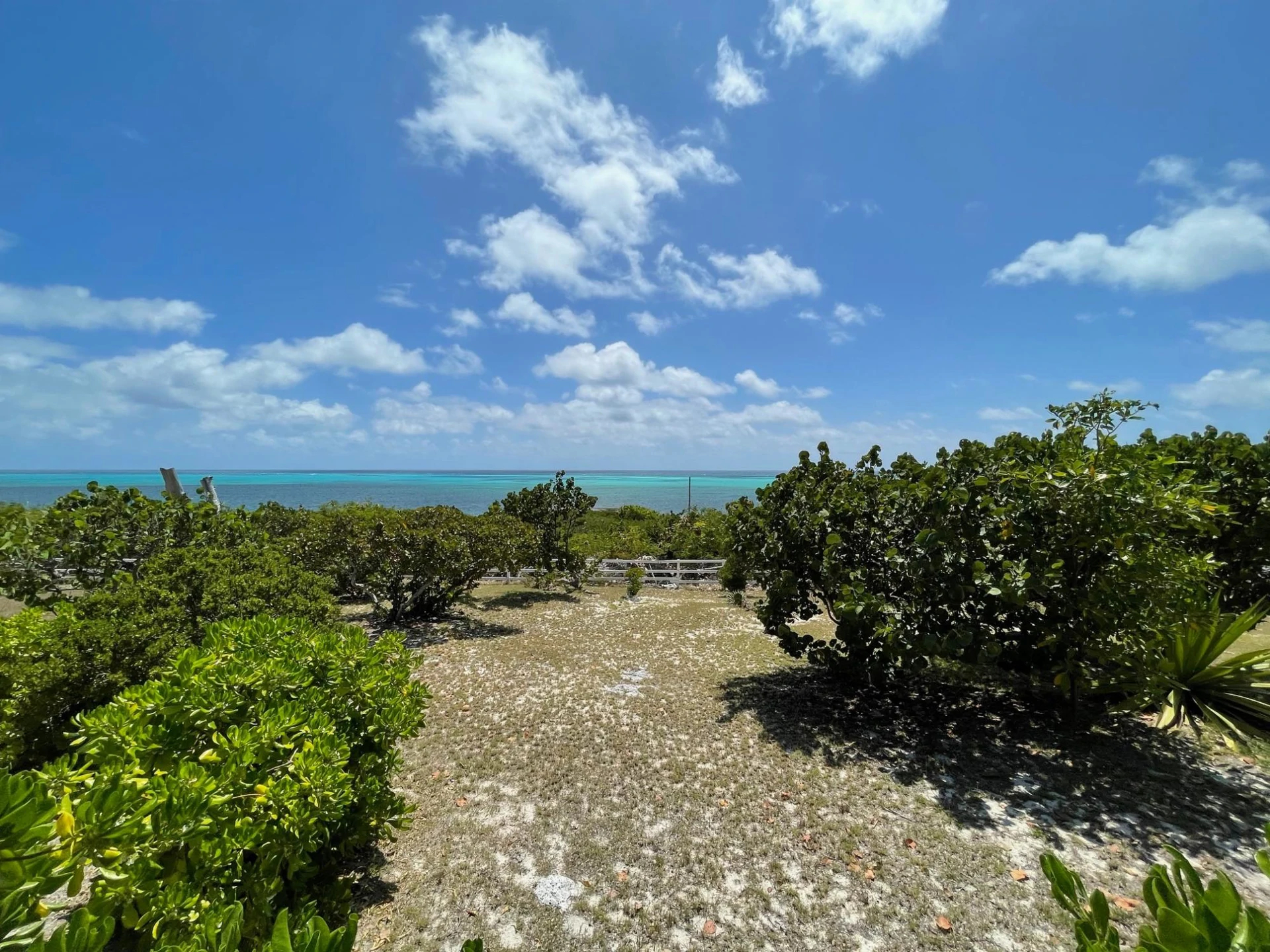 Mandara, East Ocean, Grand Turk - Gallery image 9