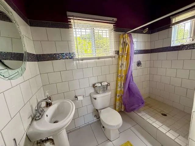 The Rock Facade, Coubaril, St Lucia. - Gallery image 19