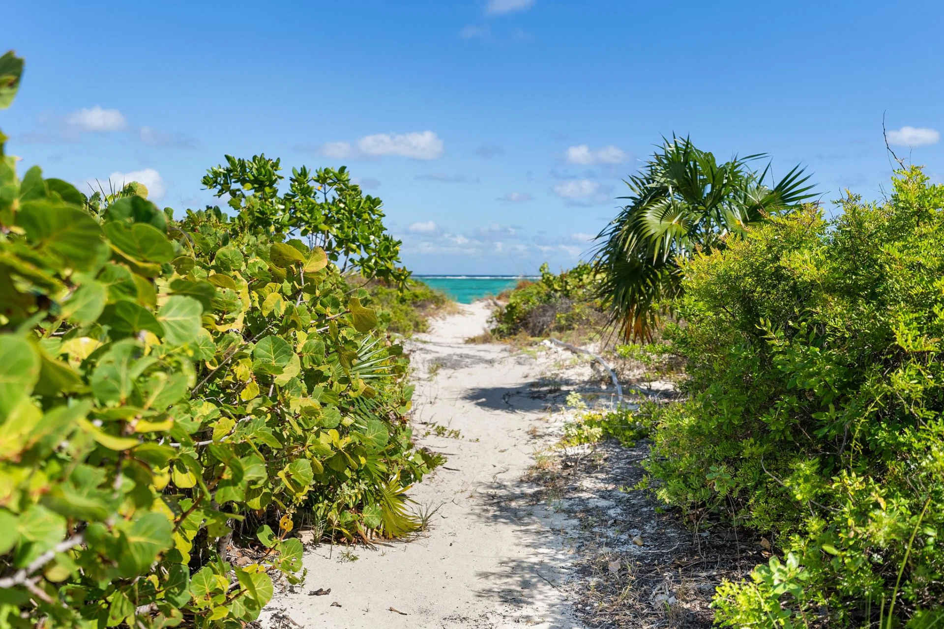 EAGLE'S NEST - Gallery image 15