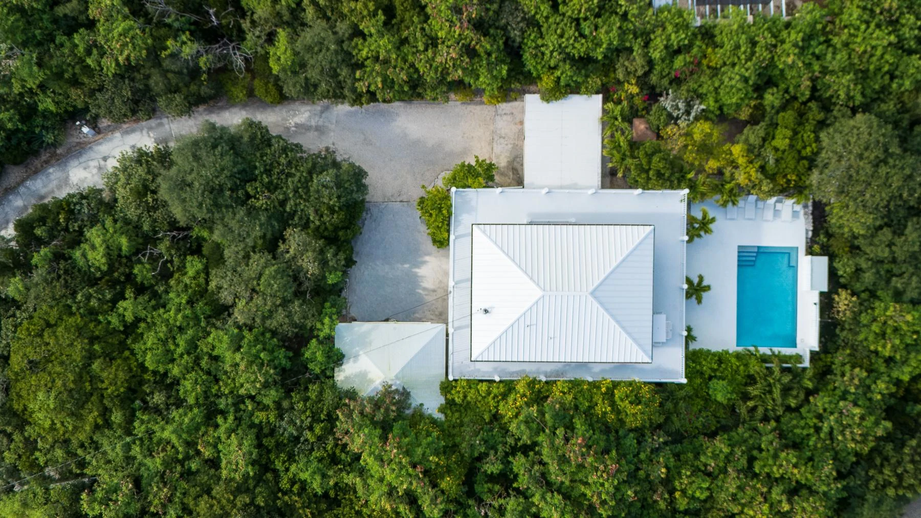 Blue Zepher - Gallery image 22