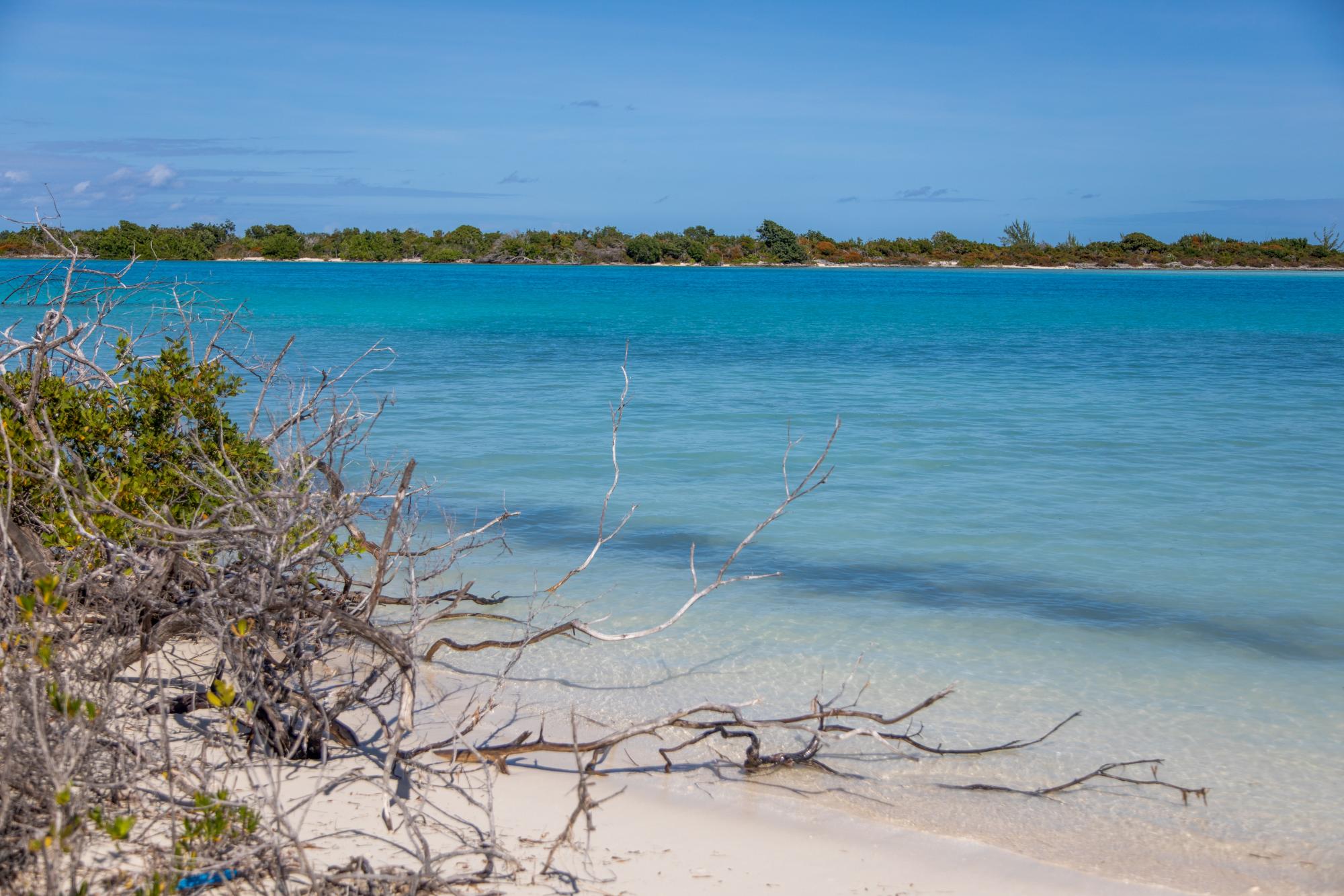 Barracuda Point, Pine Cay - Gallery image 37