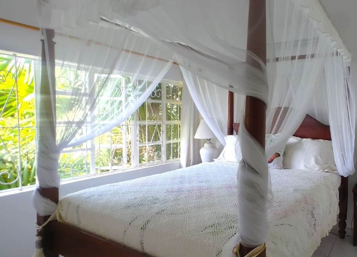 Butterfly House and Beach, La Toc, Castries. - Gallery image 15