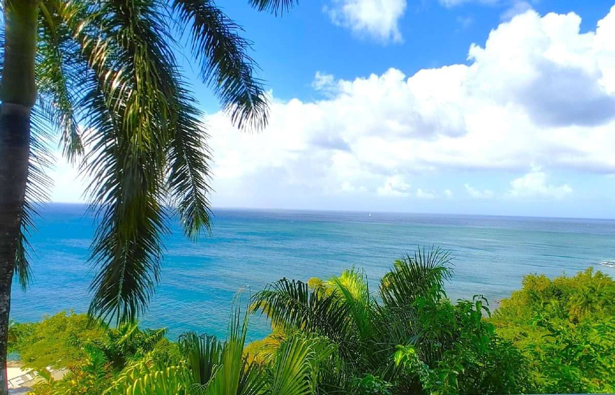 Butterfly House and Beach, La Toc, Castries. - Gallery image 2