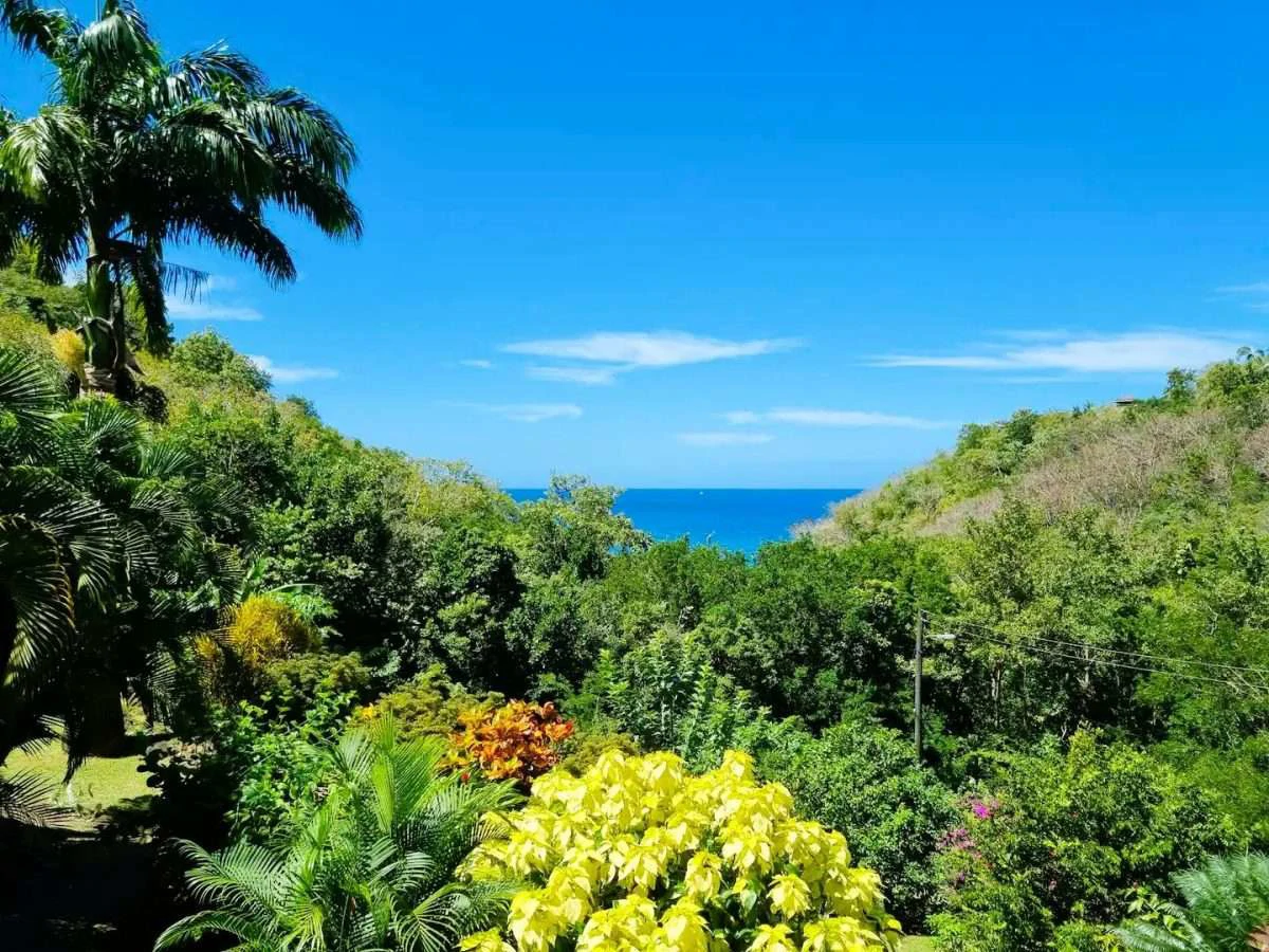 Villa Karibu - Gallery image 21