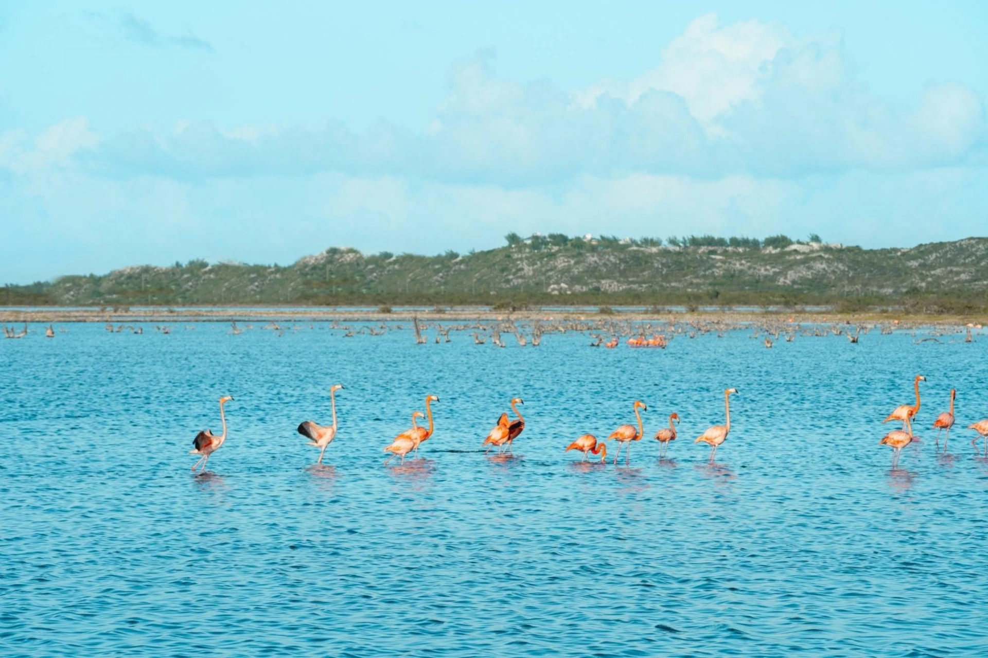 6B Sailrock Ridgetop Residences - Gallery image 15