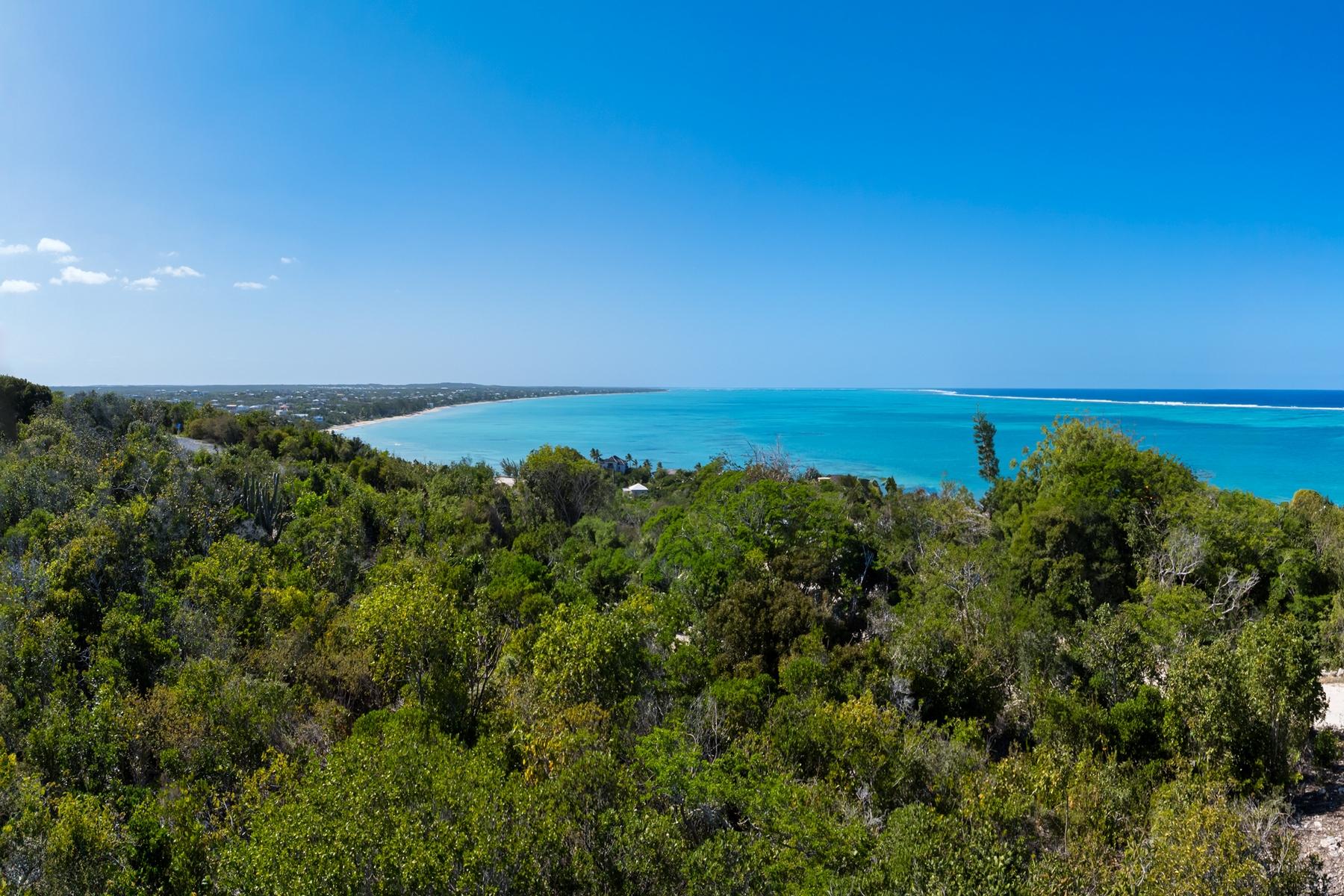 Villa 8 - The Summit - Blue Mountain Ocean View - Gallery image 4