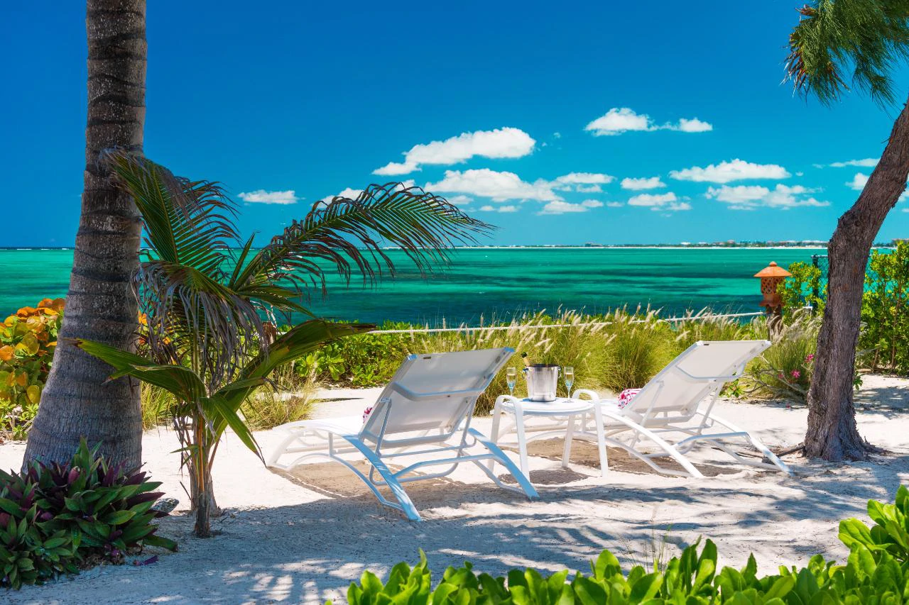 Reef Pearl - Gallery image 21