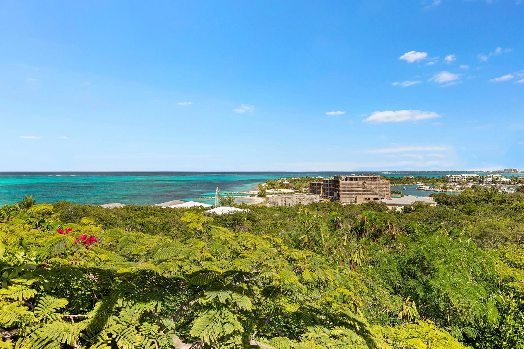 Poinciana Hill - Gallery image 5