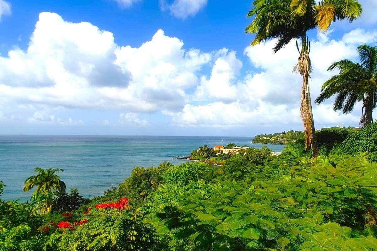 Butterfly House and Beach, La Toc, Castries. - Gallery image 23