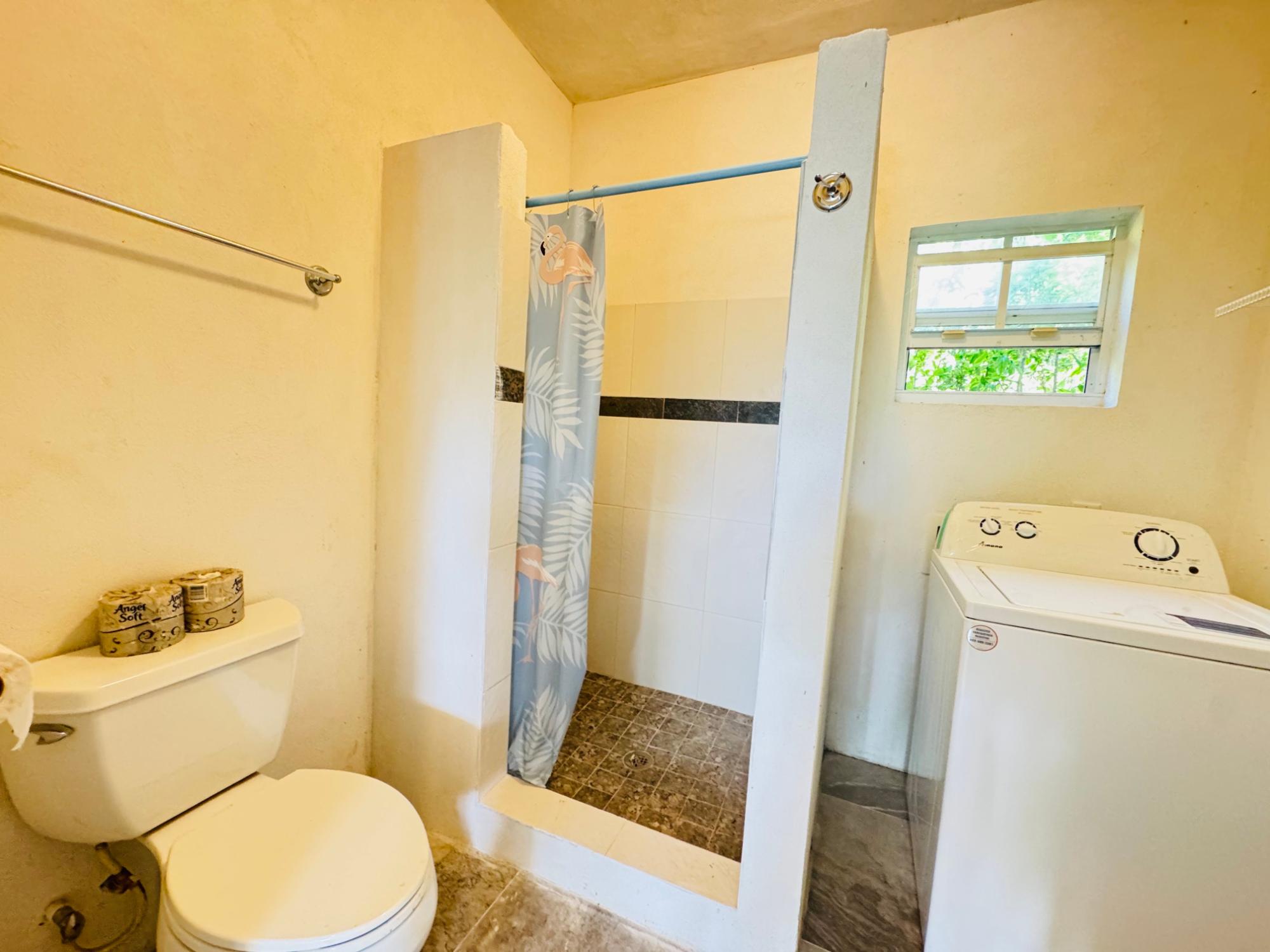 Marshalltown Cottage 1 - Gallery image 21