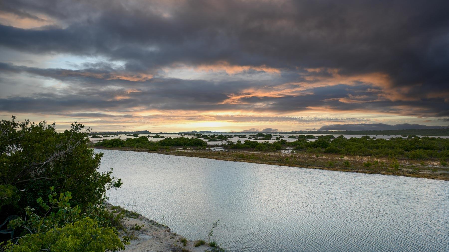 Canalfront Home - Gallery image 27