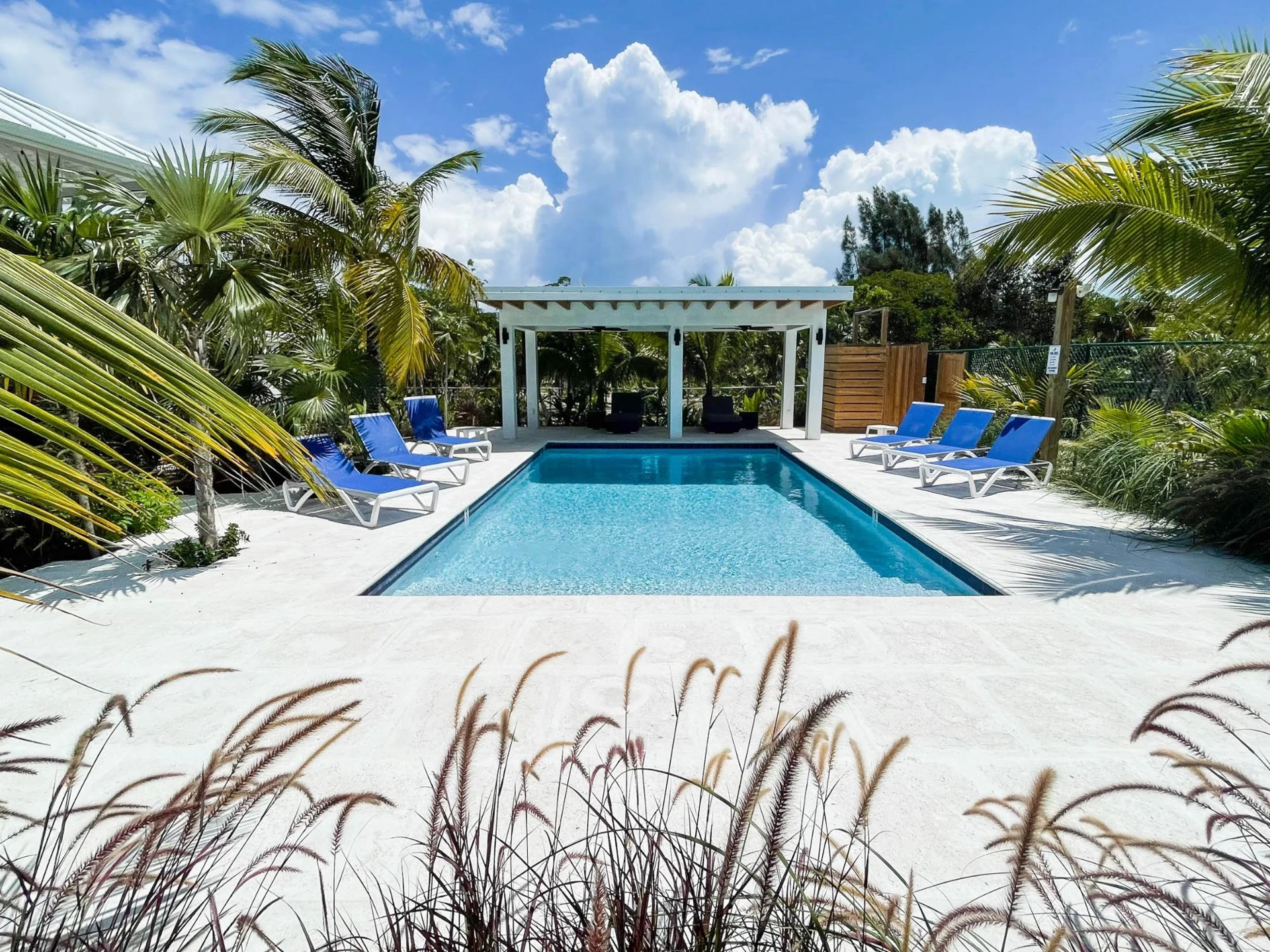 PALMETTO PLACE - Gallery image 17