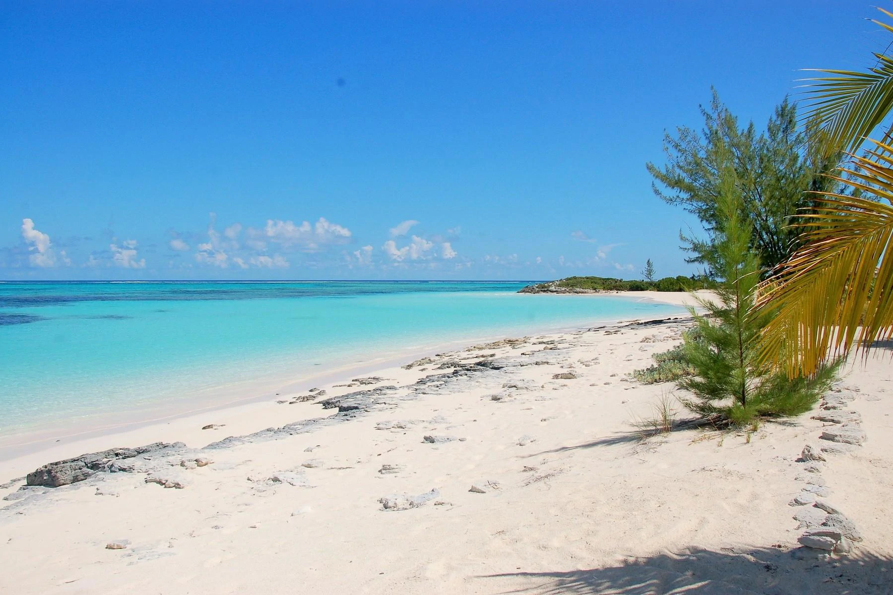 Grace on The Bay, Whitby Beachfront - Gallery image 7