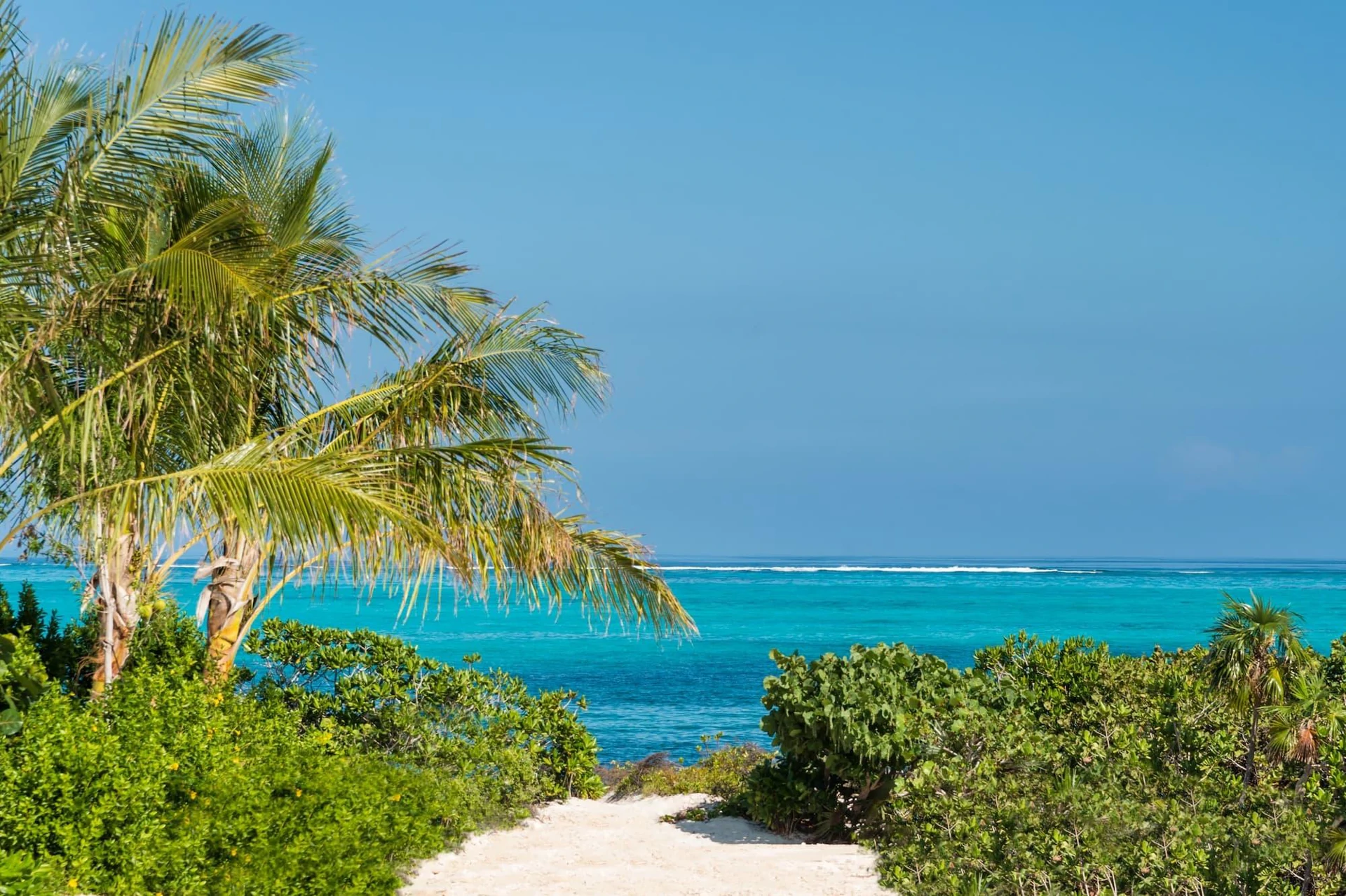 Coriander Cottage | Smith's Reef - Gallery image 13